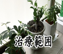 整体、整骨の治療範囲