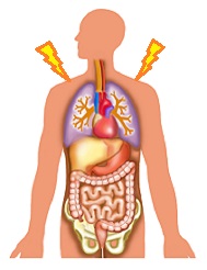 内臓反射での肩こり