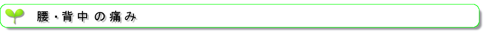 腰・背中の痛み